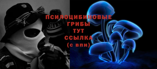apvp Балахна