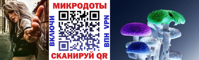купить наркоту Хвалынск Псилоцибиновые грибы Psilocybine cubensis